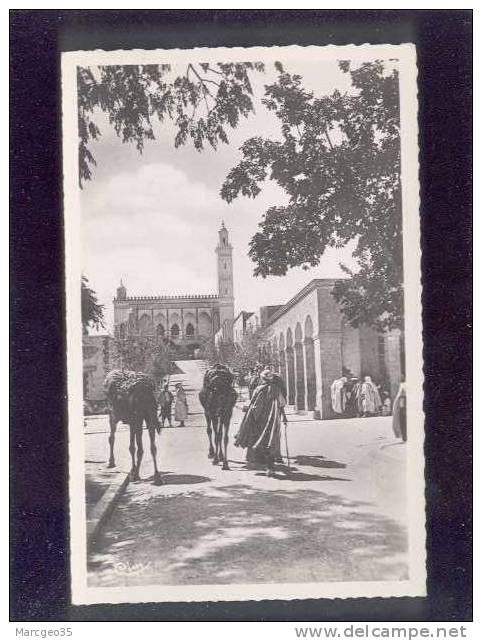 30598 Laghouat La Grande Mosquée édit.combier N° 3 Animée Belle Cpsm - Laghouat