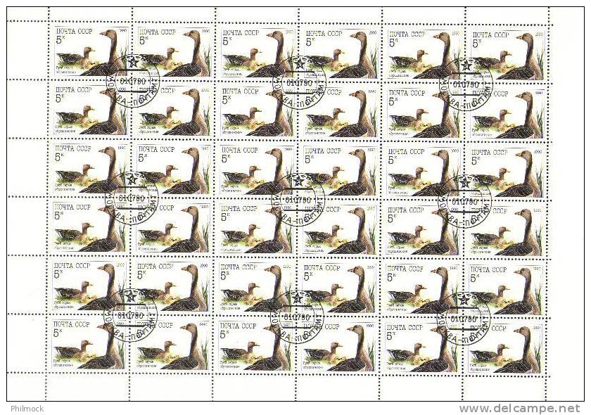 Russia -URSS - USSR - Feuille Complète Geese 5764 Used - Other & Unclassified