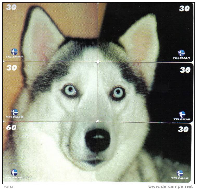 BRAZIL - HUSKY PUZZLE - Rompecabezas