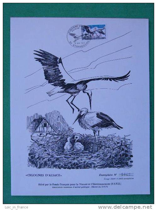 Bird Stork Superb Philatelic Engraving 23076 - Storks & Long-legged Wading Birds