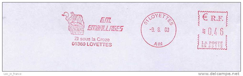 Squirrel Meter Stamp In Euros On Cover 20463 - Knaagdieren