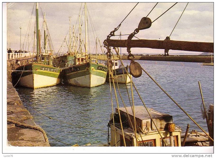 CHALUTIERS - N°  C 6 - Fishing Boats