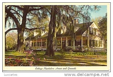 COTTAGE PLANTATION HOUSE AND GROUNDS....SIX MILES NORTH OF ST. FRANCISVILLE.... - New Orleans
