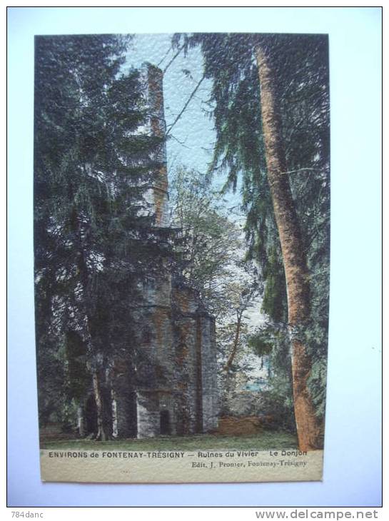 FONTENAY TRESIGNY : Ruines Du Vivier - Fontenay Tresigny