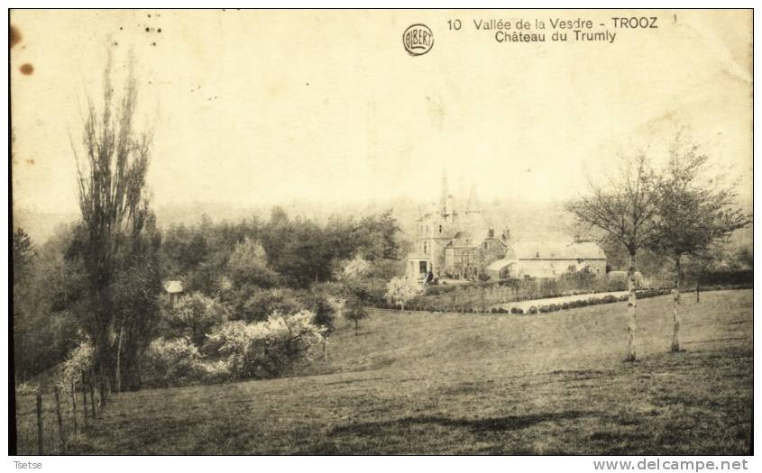 Trooz - Vallée De La Vesdre - Château Du Trumly -1923 - Trooz