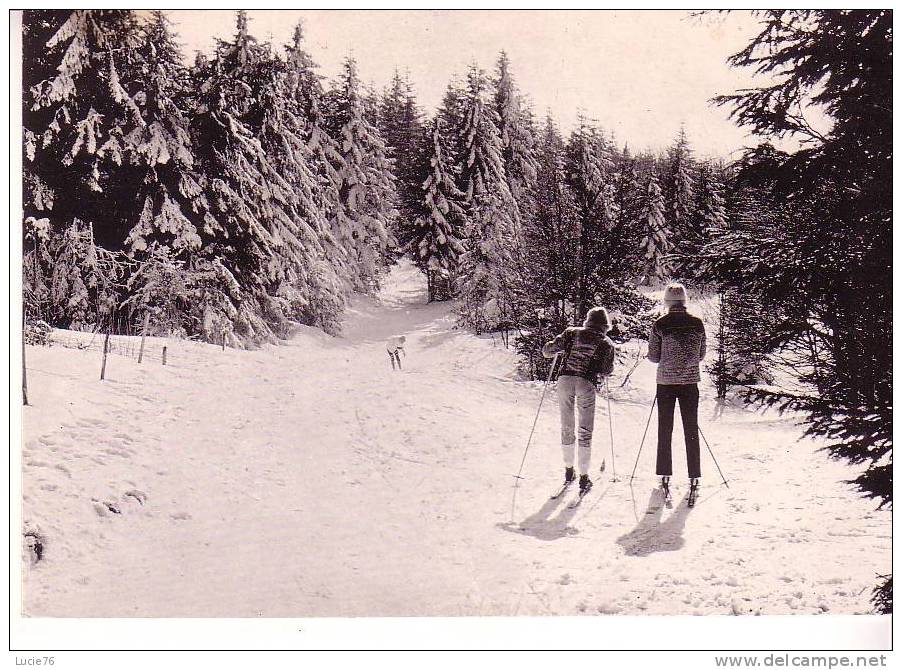 PROMENADE à SKI - Franche-Comté