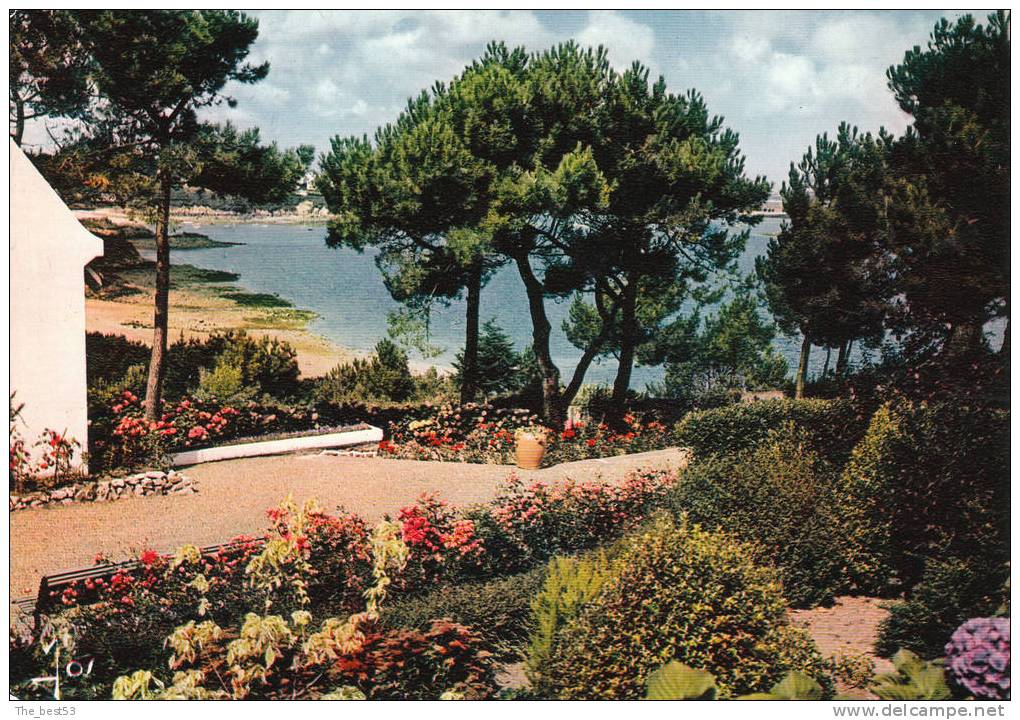 6535   -  Carantec   -   Les Jardin Fleuris - Carantec