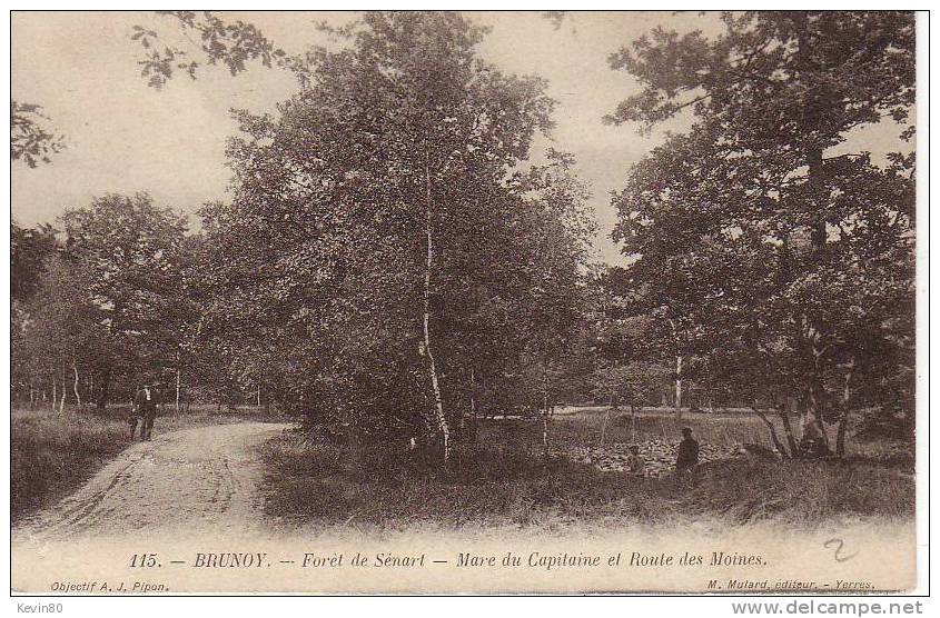 91 BRUNOY Forêt De Sénart Mare Du Capitaine Et Route Des Moines Cpa Animée - Brunoy