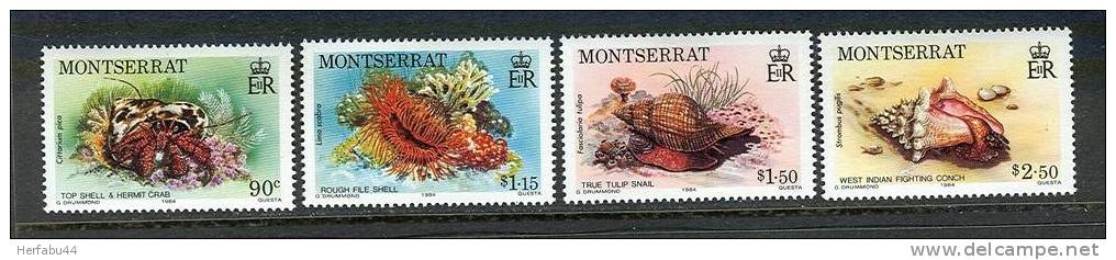 Montserrat    Marine Life Set  SC#  543-46  Mint - Montserrat