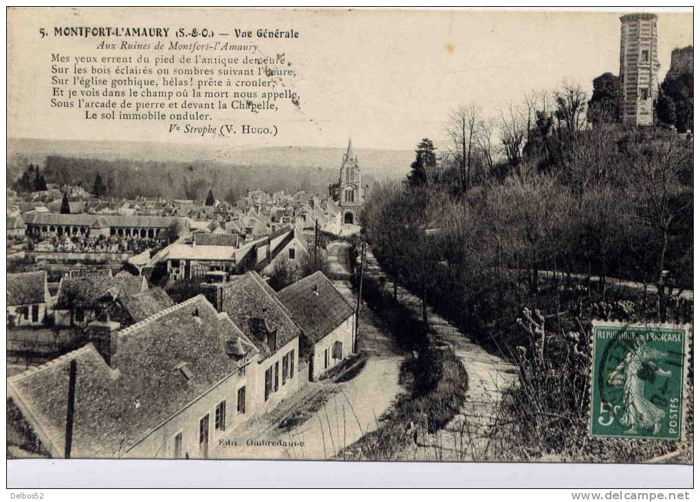 Vue Générale - Aux Ruines De Montfort - L'Amaury - Montfort L'Amaury