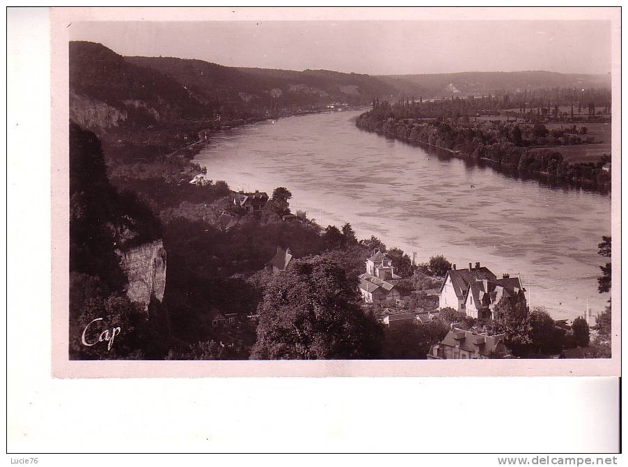 LA BOUILLE -  Vue Panoramique Sur La Seine - N°  31 - La Bouille