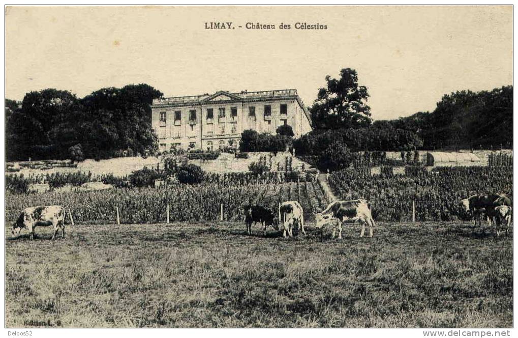 Château Des Célestins - Limay