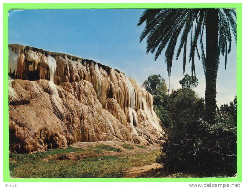 GUELMA, ALGÉRIE -  HAMMAM MESKHOUTEN - CIRCULÉE EN 1978 - ÉDIT. SNED - - Guelma