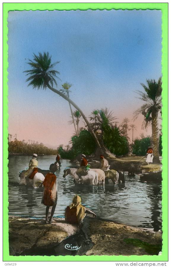 COLLECTION ARTISTIQUE L´AFRIQUE - LA RIVIÈRE - ANIMÉE - No 1185 - CIM - CLICHÉ, R. PROUHO - - Non Classés