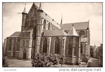 LEIDEN. PIETERSKERK. - Leiden