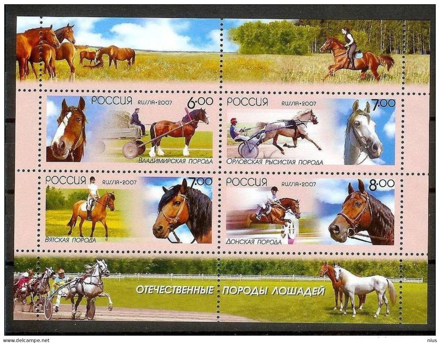 Russia 2007 Fauna Horses Horse Chevaux Pferde - Fogli Completi