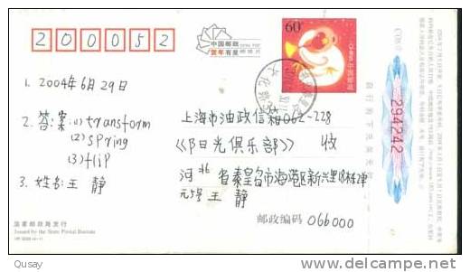 Seagull Birds   ,      Pre-stamped Card , Postal Stationery - Gaviotas