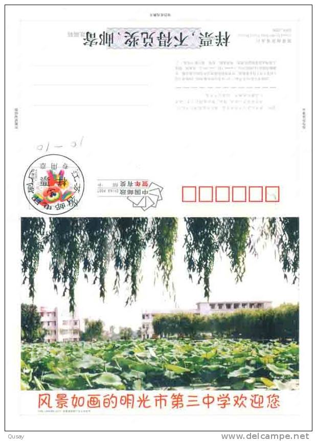 Basketball Flower Lotus  ,   Specimen    Pre-stamped Card , Postal Stationery - Basket-ball