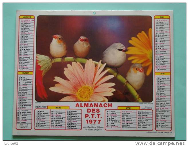 Calendrier ALMANACH PTT - 1977 - Oiseaux & Fruits - JEAN LAVIGNE - Nord 59 - Bon état - Tamaño Pequeño : 1971-80