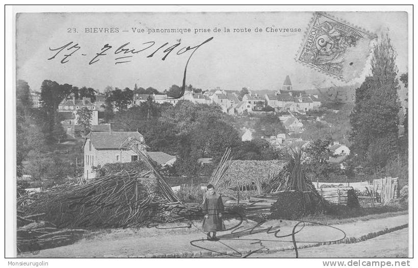 91 ))) BIEVRES, Vue Panoramique Prise De La Route De Chevreuse, ANIMEE / (mu) - Bievres
