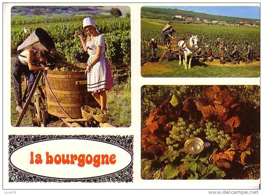 Vendanges En BOURGOGNE - N° M 64 - 3 Vues - Bourgogne