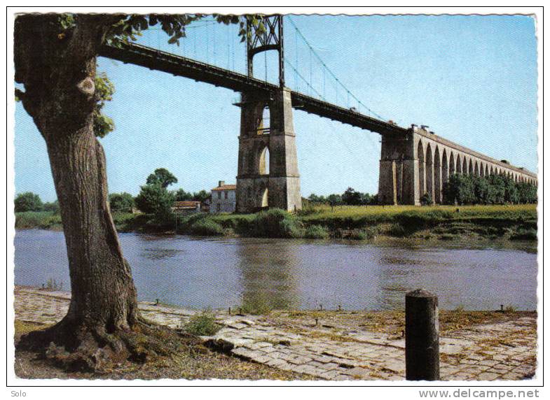 TONNAY - Le Grand Pont Routier Au-dessus De La Charente - Pont-l'Abbé-d'Arnoult