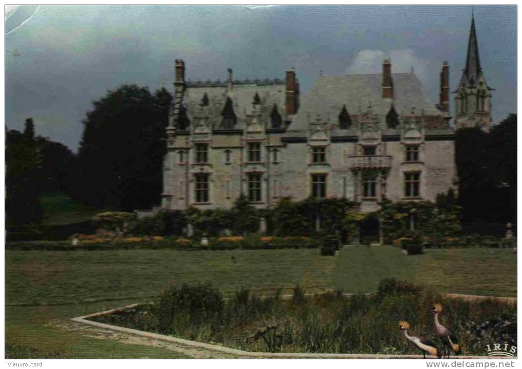 CPSM. PARC ZOOLOGIQUE DE CLERES. LE CHATEAU. DATEE 1960. DENTELLEE. - Clères