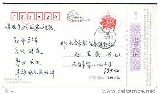 Rose Football Soccer Field  Stadium   ,    Pre-stamped Card , Postal Stationery - Roses