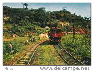 CONGO - Transport De Grumes - Transporter & LKW