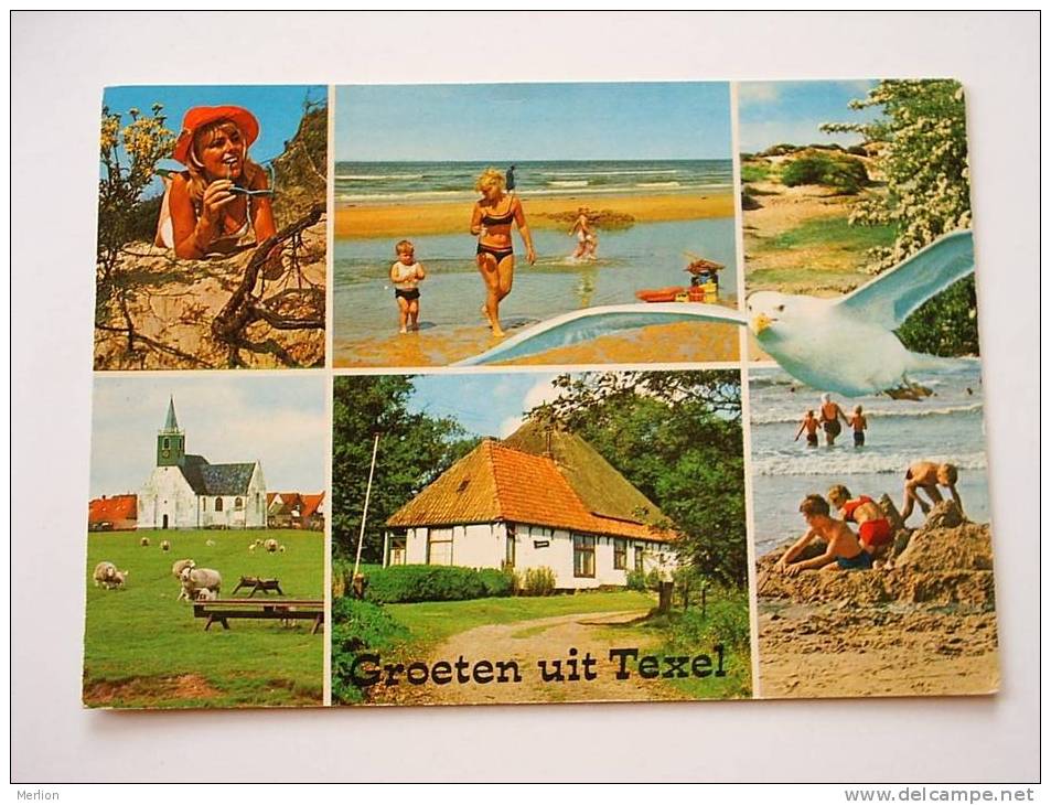 TEXEL   - Holland -  F    D27301 - Texel