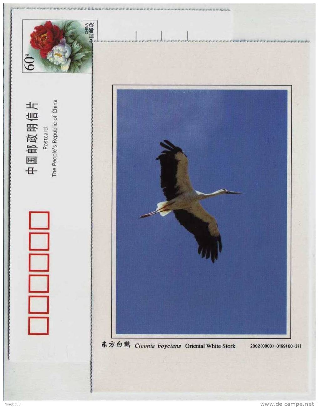 Oriental White Stock,China 2002 Dongtan Rare Bird Postal Stationery Card - Cigognes & échassiers