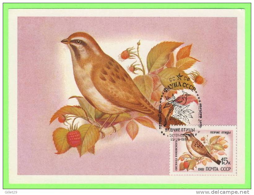 CARTE MAXIMUM - OISEAUX - BIRDS - RUSSIE - CARTES MAXIMUM 1981 - - Cartoline Maximum