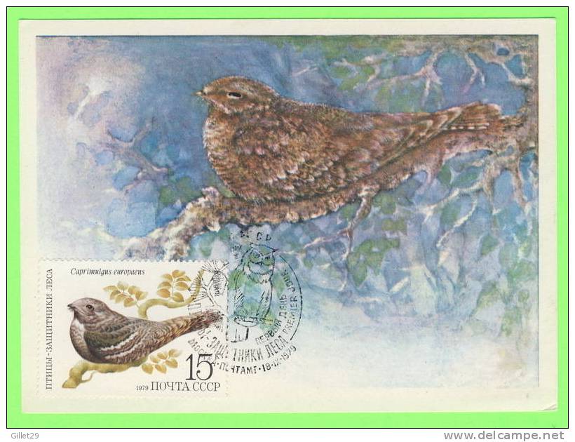 CARTE MAXIMUM - OISEAUX - BIRDS - RUSSIE - CARTES MAXIMUM 1979 - CAPRIMULGUS EUROPAEUS - - Cartes Maximum