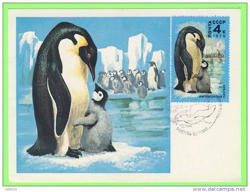 CARTE MAXIMUM - PINGUINS - RUSSIE - CARTES MAXIMUM 1978 - - Maximumkaarten