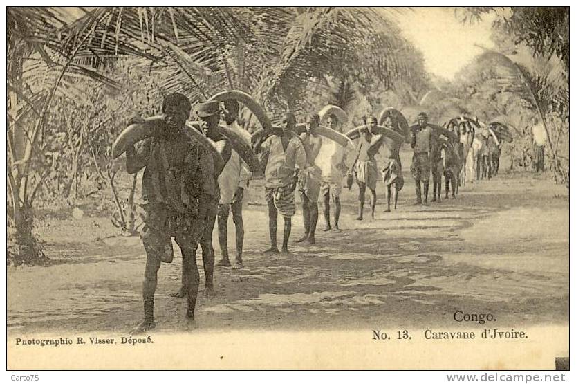 AFRIQUE - Congo - Caravane D'ivoire - Défense éléphants - Congo Français