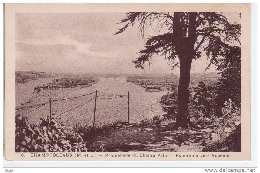 49.052/ CHAMPTOCEAUX - Promenade Du Champ Palu - Panorama Vers Ancenis - Champtoceaux