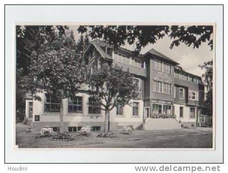 Titisee - Neustadt - Hotel Gasthof Waldlust - Besitzer Adolf Winterhalder - Titisee-Neustadt