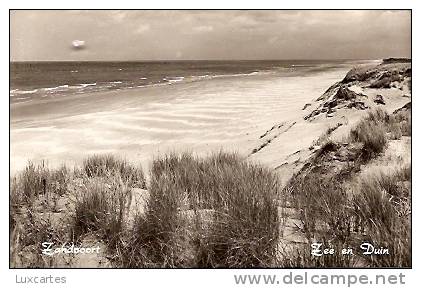 ZANDVOORT. ZEE EN DUIN. - Zandvoort