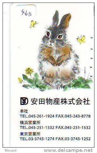 Carte Japon - Kaninchen LAPIN (463) Rabbit  KONIJN  Conejo Animal Tier - Conejos