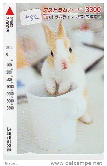 Carte Japon - Kaninchen LAPIN (482) Rabbit  KONIJN  Conejo Animal Tier - Conejos