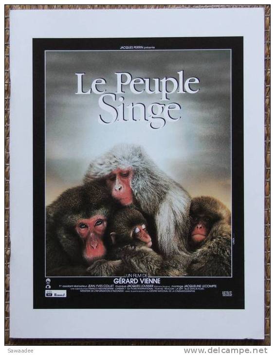 DOSSIER DE PRESSE  -FILM - LE PEUPLE SINGE - GERARD VIENNE - Film/ Televisie