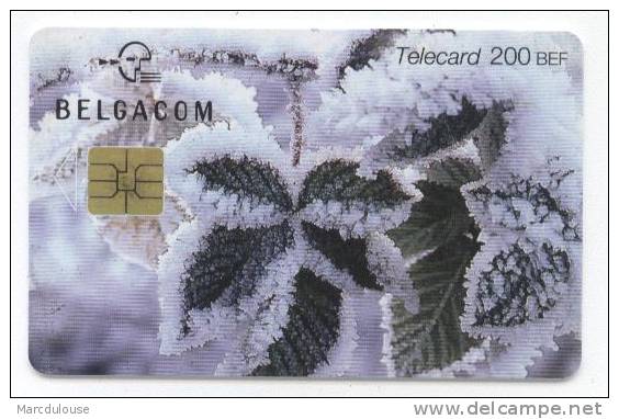 Belgacom. Telecard 200 BEF. Hiver, Gel, Neige, Feuilles. Winter, Dooi, Sneeuw, Bladen. - Avec Puce