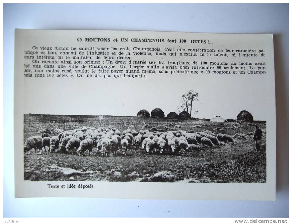 99 Moutons Et Un Champenois Font 100 Bêtes ! ... - Champagne - Ardenne