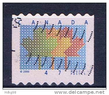 CDN+ Kanada 2000 Mi 1946 Ahornblatt - Gebruikt