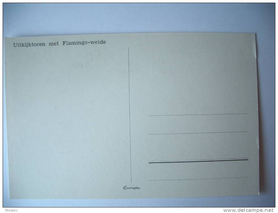Uitkijktoren Met Flamingo - Weide - Sonstige & Ohne Zuordnung