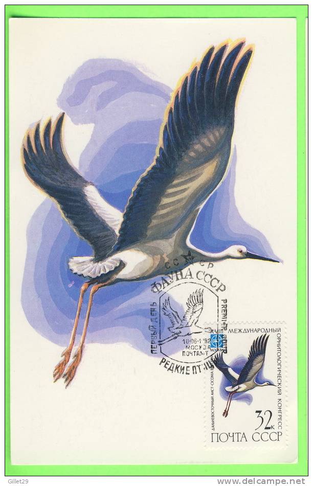 CARTE MAXIMUM - OISEAU -  RUSSIE 1982 - AIGRETTE OU GRUE - - Cartes Maximum