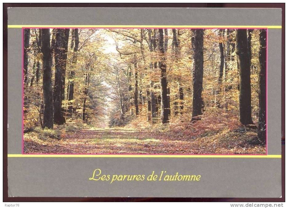 CPM  Les Parures De L' Automne En Bretagne Arbres - Trees