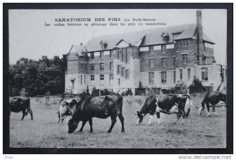 41 Lamotte-Beuvron Sanatorium Vache    D41D  K41106K  C41106C RH029875 - Lamotte Beuvron