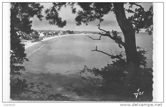 29 / FL/ FOUESNANT, Vue Générale De La Plage De CAP COZ à Travers Les Arbres Du Cap, CPSM 150 X 105 N° 1975 ED JOS - Fouesnant