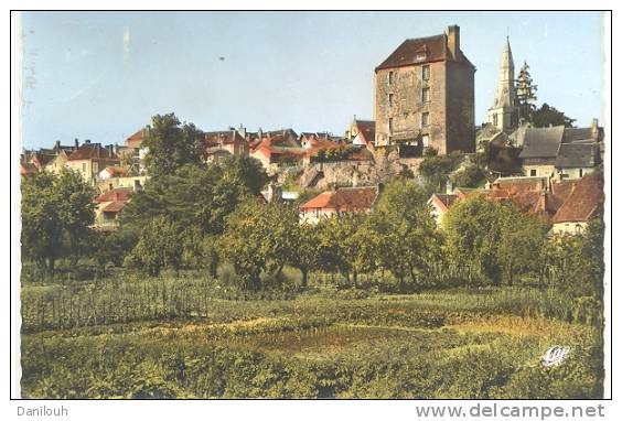 36 / FL / LA CHATRE, Vue Générale, CPSM 150 X 105 ED CAP - La Chatre